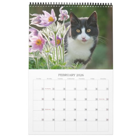 Tuinkatten - groottemedium kalender (Feb 2026)