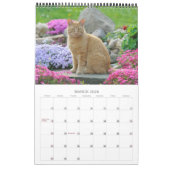 Tuinkatten - groottemedium kalender (Mar 2026)