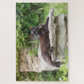 tuinkattenpuzzel legpuzzel (Verticaal)