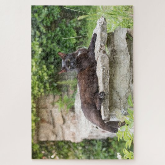 tuinkattenpuzzel legpuzzel (Verticaal)