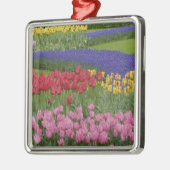 Tuinkers, Grape Hyacinth en Metalen Ornament (Links)