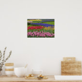 Tuinkers, Grape Hyacinth en Poster (Keuken)