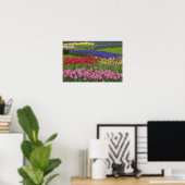 Tuinkers, Grape Hyacinth en Poster (Thuiskantoor)
