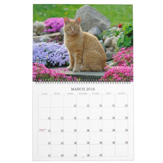 Tuinkers - groot kalender (Mar 2016)
