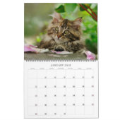 Tuinkers - groot kalender (Jan 2018)