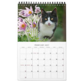 Tuinkers - klein kalender (Feb 2027)