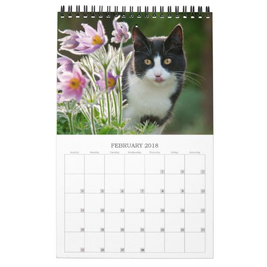 Tuinkers - klein kalender (Feb 2018)