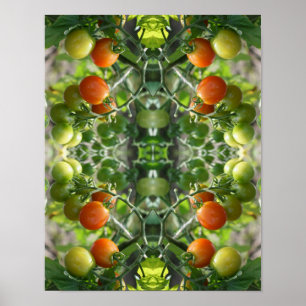 Tuinkers Tomaten Abstracte Natuur Poster