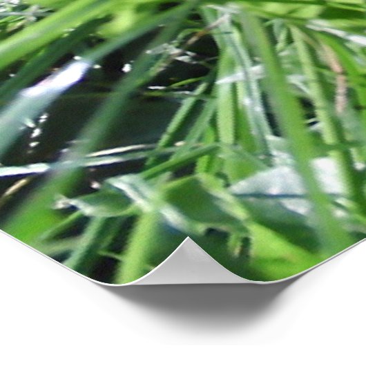 Tuinkleding Poster afdrukken (Hoek)