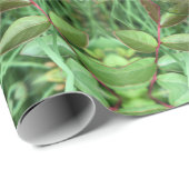 Tuinkruiden Cadeaupapier (Rol Hoek)