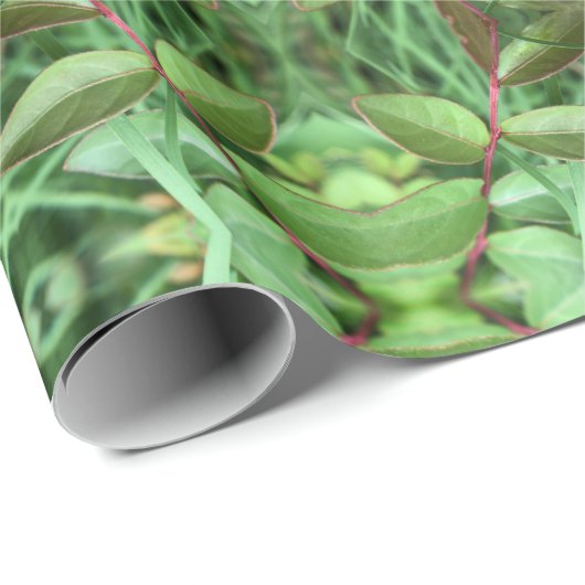 Tuinkruiden Cadeaupapier (Rol Hoek)