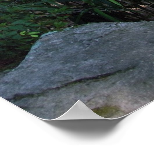 Tuinkruising Poster (Hoek)