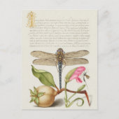 Tuinleven, Libel, Peer, Anjer en Insect Briefkaart (Voorkant)