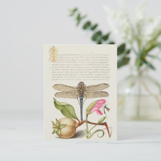 Tuinleven, Libel, Peer, Anjer en Insect Briefkaart (Staand voorkant)