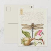 Tuinleven, Libel, Peer, Anjer en Insect Briefkaart (Voorkant / Achterkant)
