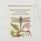 Tuinleven, Libel, Peer, Anjer en Insect Briefkaart (Voorkant)