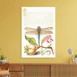 Tuinleven, Libel, Peer, Anjer en Insect Canvas Afdruk