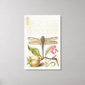 Tuinleven, Libel, Peer, Anjer en Insect Canvas Afdruk (Voorkant)
