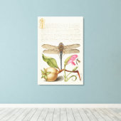 Tuinleven, Libel, Peer, Anjer en Insect Canvas Afdruk (Insitu (Houten vloer))