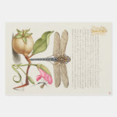 Tuinleven, Libel, Peer, Anjer en Insect Inpakpapier Vel (Voorkant 3)
