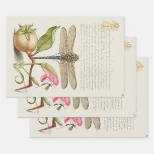 Tuinleven, Libel, Peer, Anjer en Insect Inpakpapier Vel