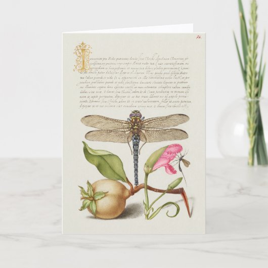 Tuinleven, Libel, Peer, Anjer en Insect Kaart (Voorkant)