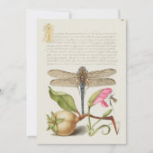 Tuinleven, Libel, Peer, Anjer en Insect Kaart (Voorkant)