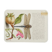 Tuinleven, Libel, Peer, Anjer en Insect Magneet (Horizontaal)