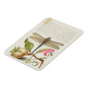 Tuinleven, Libel, Peer, Anjer en Insect Magneet (Linkerzijde)