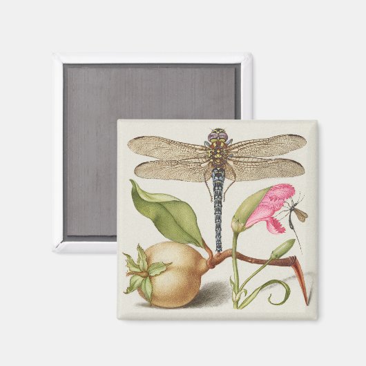 Tuinleven, Libel, Peer, Anjer en Insect Magneet (Voorkant / Achterkant)