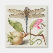 Tuinleven, Libel, Peer, Anjer en Insect Magneet (Voorkant)