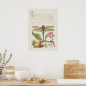 Tuinleven, Libel, Peer, Anjer en Insect Poster (Keuken)