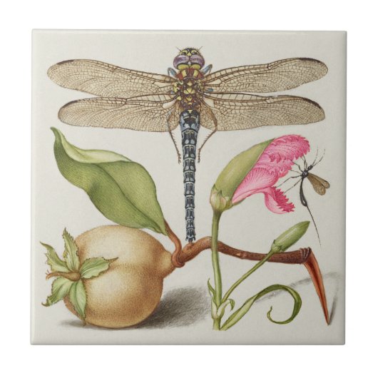Tuinleven, Libel, Peer, Anjer en Insect Tegeltje (Voorkant)