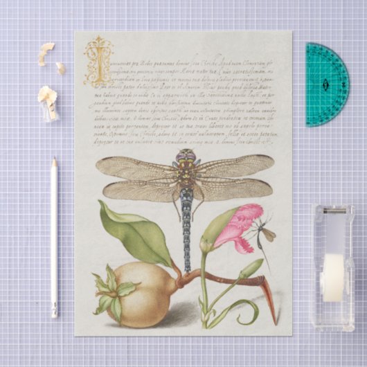 Tuinleven, Libel, Peer, Anjer en Insect Tissuepapier (Craft)