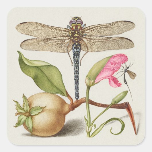 Tuinleven, Libel, Peer, Anjer en Insect Vierkante Sticker (Voorkant)