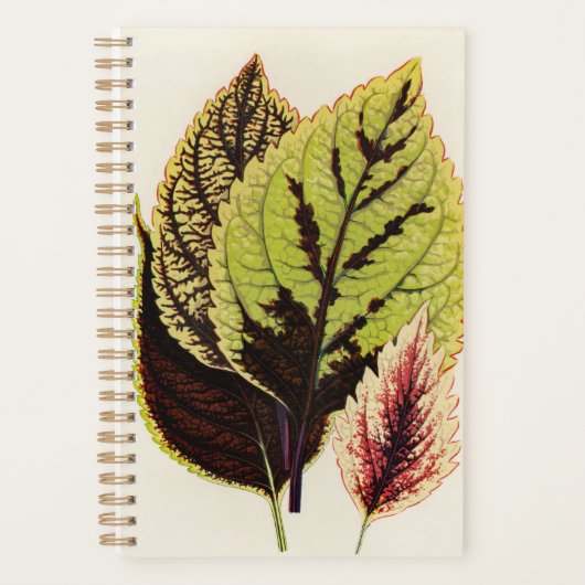 Tuinman Botanic Special Gift Planner (Voorkant)
