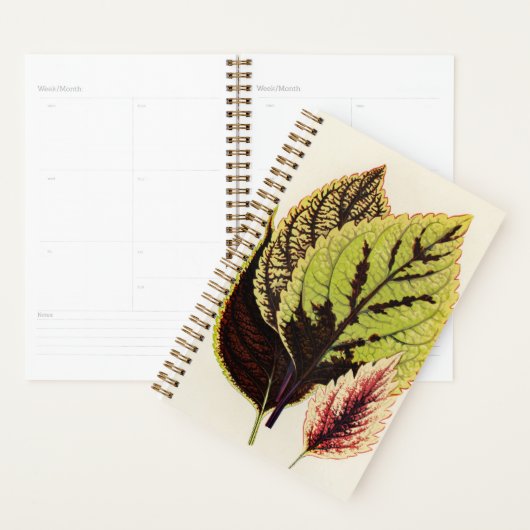 Tuinman Botanic Special Gift Planner (Display)