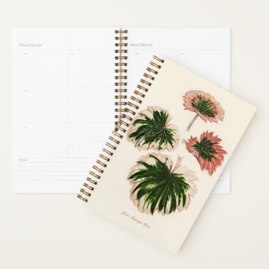 Tuinman Speciale Cadeau Plant Mam Pap Planner (Display)