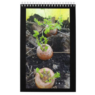 Tuinman's Single Page Kleine Kalender, Wit Kalender
