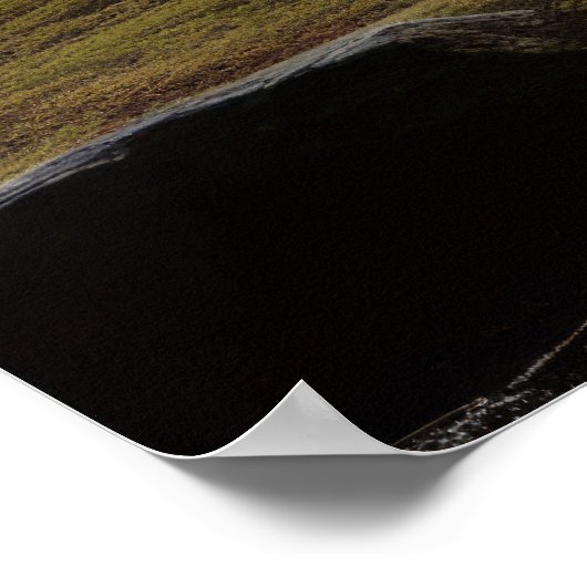 Tuinmeditatie Serene rustige rust Poster (Hoek)