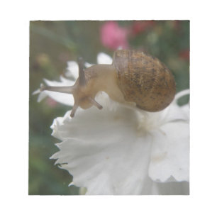 Tuinnagels en witte anjer-notebooks notitieblok