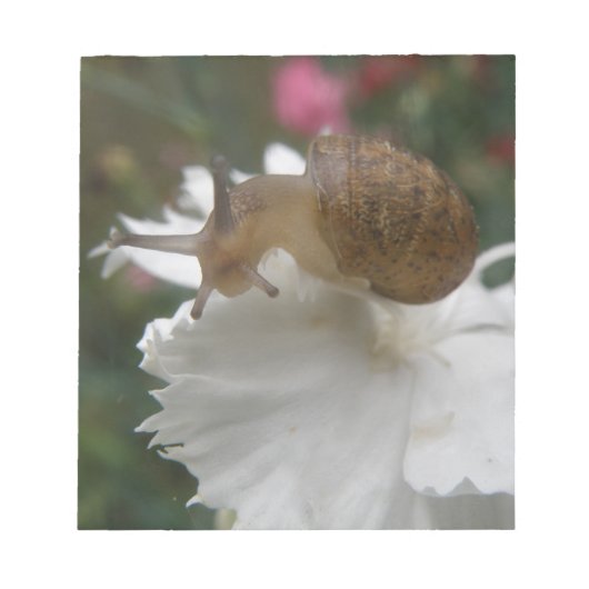 Tuinnagels en witte anjer-notebooks notitieblok (Voorkant)