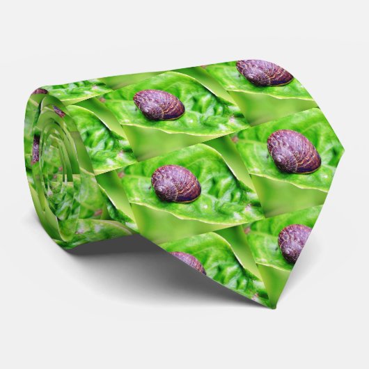 Tuinnagels Stropdas (Opgerold)
