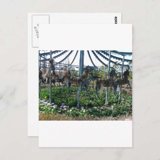 tuinpaard briefkaart (Voorkant / Achterkant)