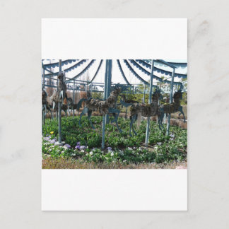 tuinpaard briefkaart