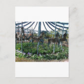 tuinpaard briefkaart (Voorkant)