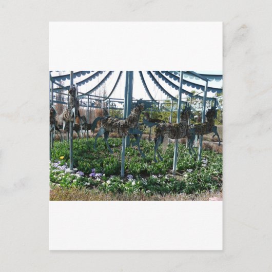 tuinpaard briefkaart (Voorkant)