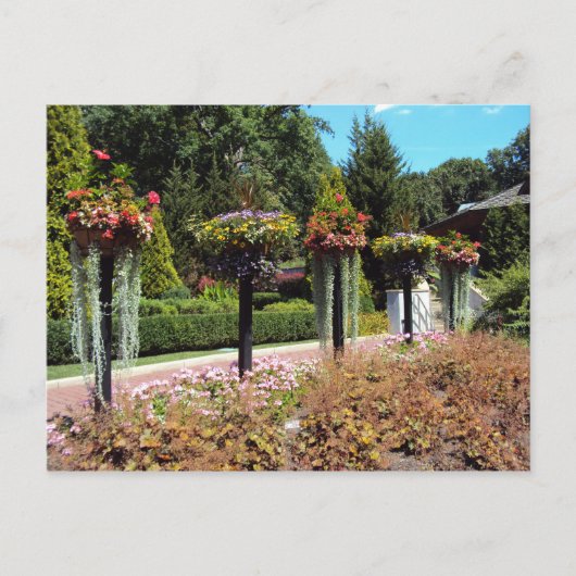 Tuinpad Briefkaart (Voorkant)