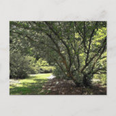 Tuinpad door Mark Edward Westerfield Briefkaart (Voorkant)