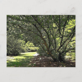 Tuinpad door Mark Edward Westerfield Briefkaart